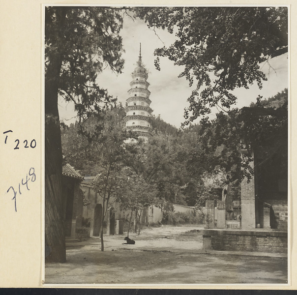【JPG清晰版】灵岩寺庭院内立有石碑辟支塔矗立于背景之中
