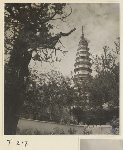 【jpg清晰版】灵岩寺辟支塔.jpg