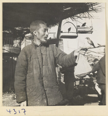 【jpg清晰版】男子在龙福寺市场鸟摊上手持拴住的鸟.jpg