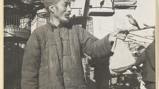 【jpg清晰版】男子在龙福寺市场鸟摊上手持拴住的鸟.jpg