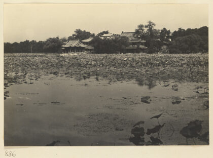 【jpg清晰版】莲花覆盖的南海湖和瀛台岛上的建筑.jpg