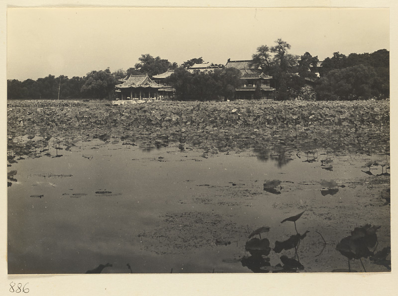 【JPG清晰版】莲花覆盖的南海湖和瀛台岛上的建筑