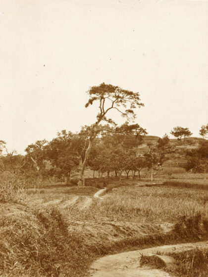 【jpg清晰版】1903年的福州田野.jpg