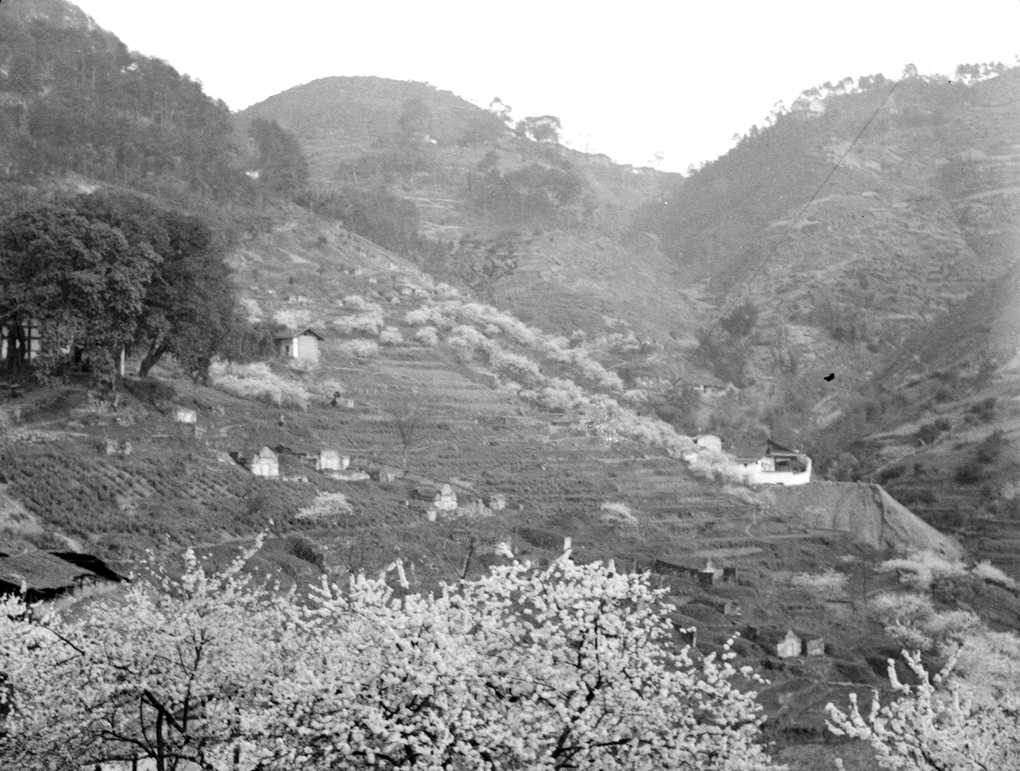 【JPG清晰版】年重庆山坡墓地
