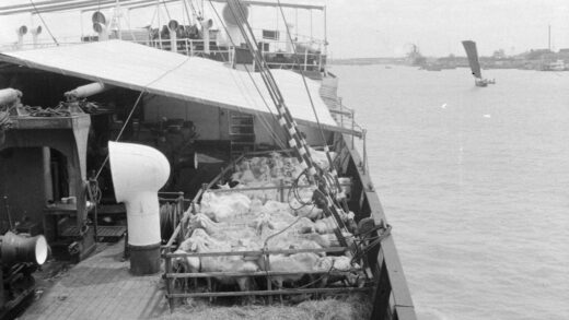 【jpg清晰版】1940年上海济南号运羊记.jpg