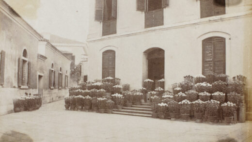 【jpg清晰版】《大行菊花》1892年.jpg