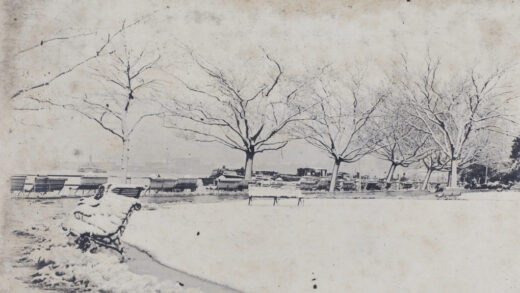 【jpg清晰版】上海人民公园大雪纷飞.jpg