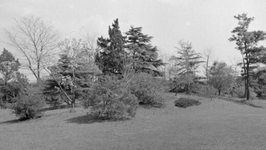 【jpg清晰版】上海榛树林花园.jpg