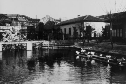 【jpg清晰版】上海水禽池塘.jpg