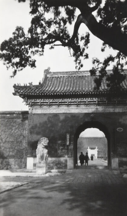【jpg清晰版】中山公园南门旁的老柏树北京.jpg