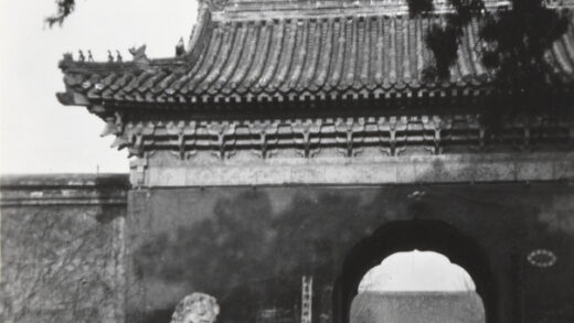【jpg清晰版】中山公园南门旁的老柏树北京.jpg