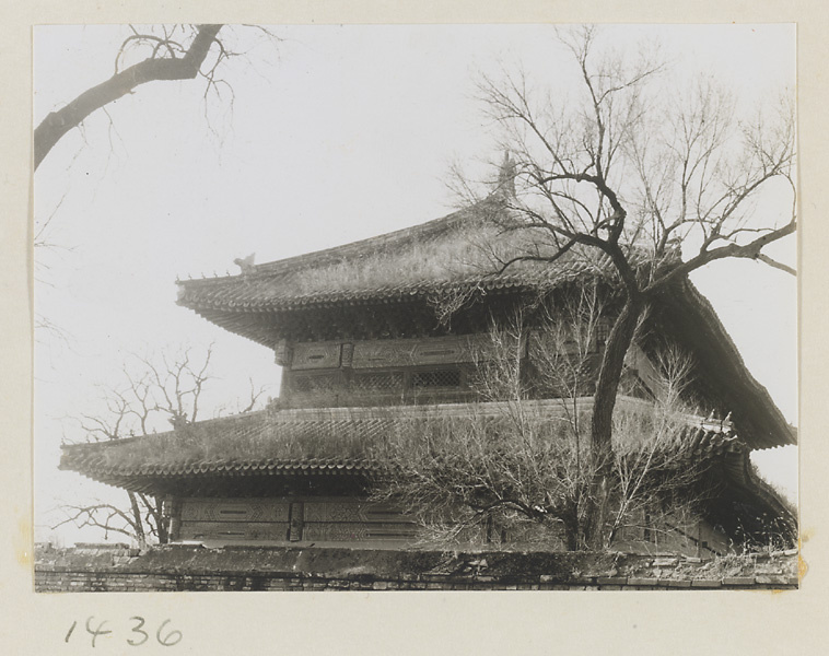 【JPG清晰版】从寺庙外眺望大佛寺屋顶