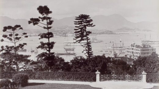 【jpg清晰版】从香港动植物公园眺望的维多利亚港.jpg