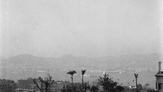 【jpg清晰版】从香港植物园俯瞰维多利亚港的景色.jpg