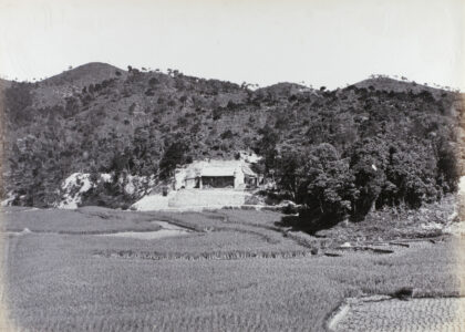 【jpg清晰版】佩岭茶区稻田.jpg