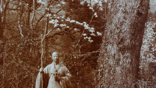 【jpg清晰版】僧人与木兰花焦山镇江.jpg