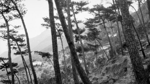 【jpg清晰版】前往福州鼓山涌泉寺（鼓山禅寺）途中.jpg