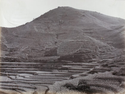 【jpg清晰版】前景是稻田山坡上是茶园.jpg