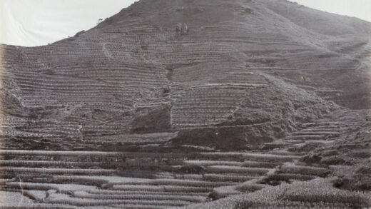 【jpg清晰版】前景是稻田山坡上是茶园.jpg