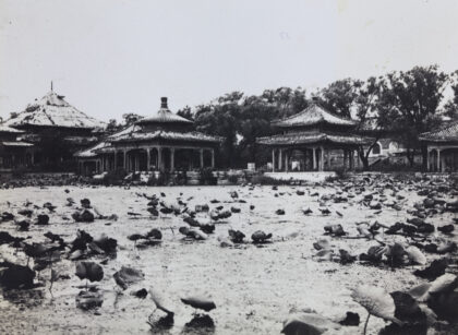 【jpg清晰版】北海湖畔的亭台与荷花北京.jpg