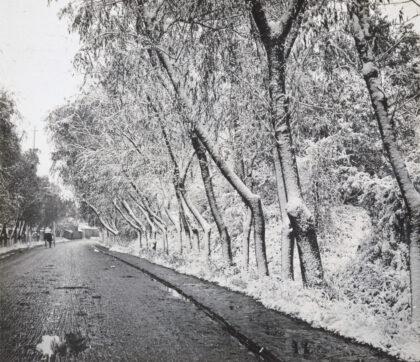 【jpg清晰版】南京市雪后林荫道上的黄包车.jpg