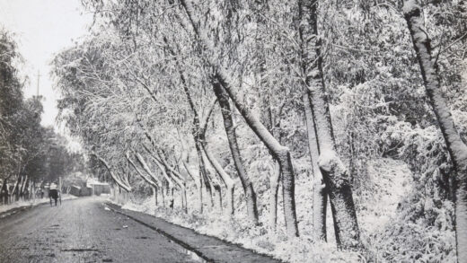 【jpg清晰版】南京市雪后林荫道上的黄包车.jpg