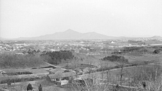 【jpg清晰版】南京概况.jpg