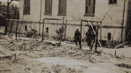 【jpg清晰版】压平的植物上海1932.jpg