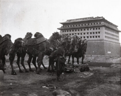 【jpg清晰版】在北京内城（鞑靼城）西南角楼（碉楼）外给骆驼饮水.jpg