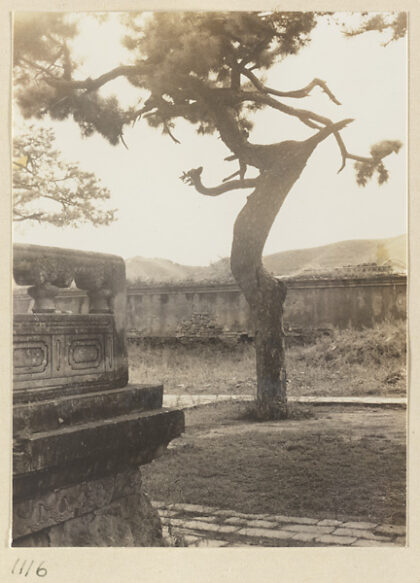 【jpg清晰版】大佛寺的松树与大理石栏杆.jpg