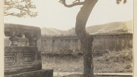 【jpg清晰版】大佛寺的松树与大理石栏杆.jpg
