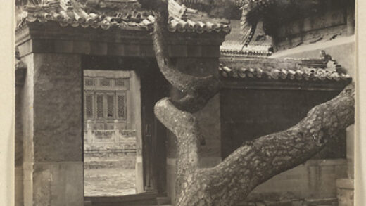 【jpg清晰版】大佛寺的松树与山门.jpg