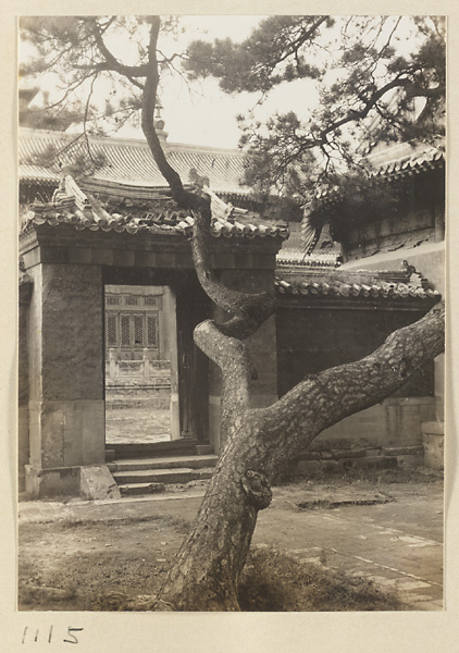 【JPG清晰版】大佛寺的松树与山门