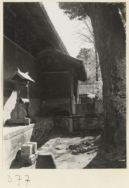 【jpg清晰版】大觉寺寺庙庭院展示如意形磬.jpg
