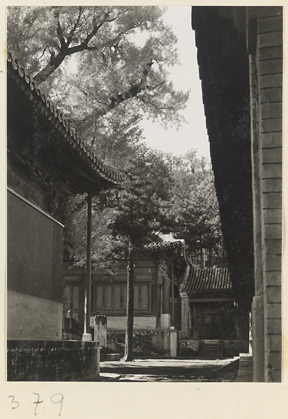 【jpg清晰版】大觉寺寺庙建筑和庭院展示石碑.jpg