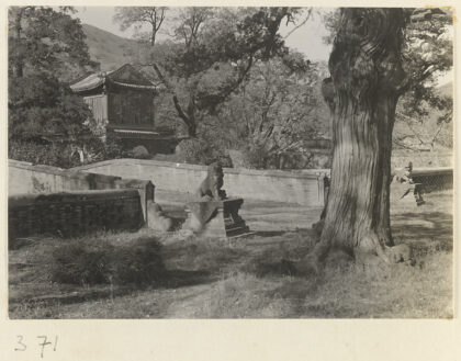 【jpg清晰版】大觉寺桥旁石狮和寺庙建筑.jpg