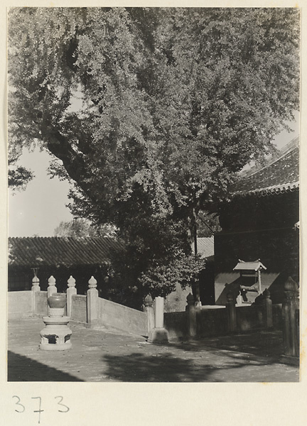 【JPG清晰版】大觉寺通往庭院和石磬的桥