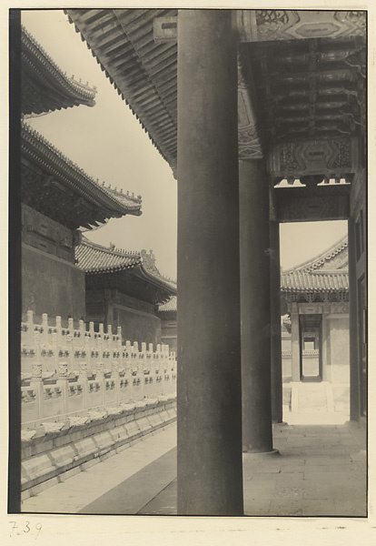 【jpg清晰版】太庙东厢看前殿东立面和平台（左）、中殿东立面（左背景）和侧殿（右背景）.jpg