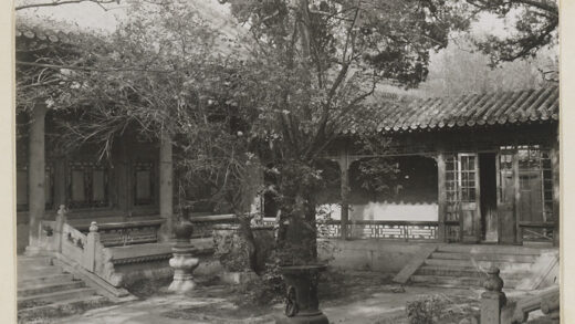 【jpg清晰版】宁寿宫花园庭院.jpg