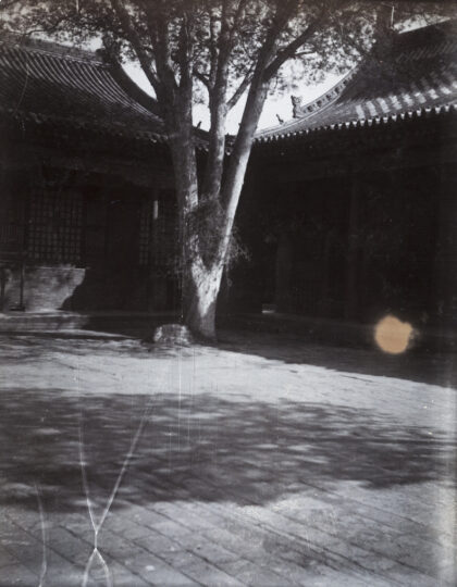 【jpg清晰版】带树的庭院.jpg