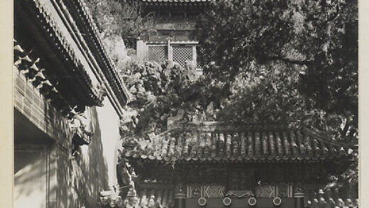 【jpg清晰版】廷和门西立面背景是玉京亭屋顶.jpg