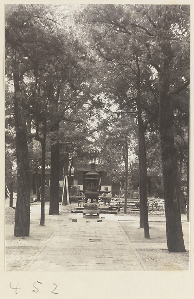 【jpg清晰版】法源寺寺庙庭院展示树木和香炉.jpg