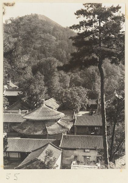 【jpg清晰版】潭柘寺寺庙屋顶.jpg