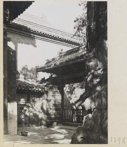 【jpg清晰版】紫禁城庭院景色显示树木和小门.jpg