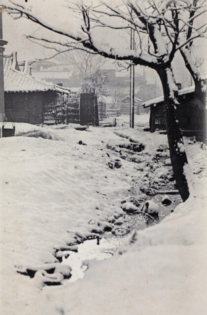 【jpg清晰版】虹口区通山路附近的小溪上飘着雪.jpg