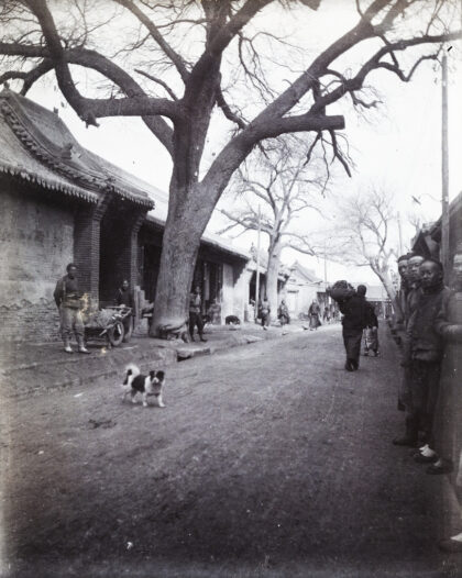 【jpg清晰版】街景.jpg