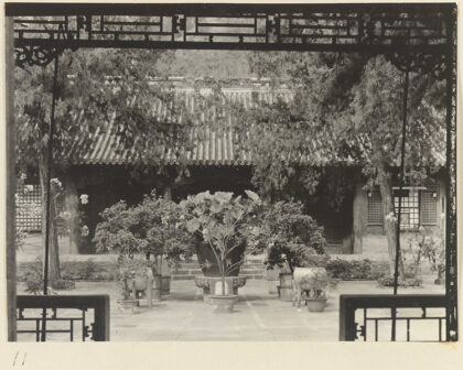 【jpg清晰版】西域寺庭院盆栽.jpg