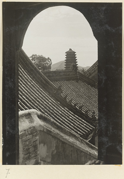 【jpg清晰版】西域寺的密檐式宝塔及寺庙建筑细节展示屋顶装饰.jpg