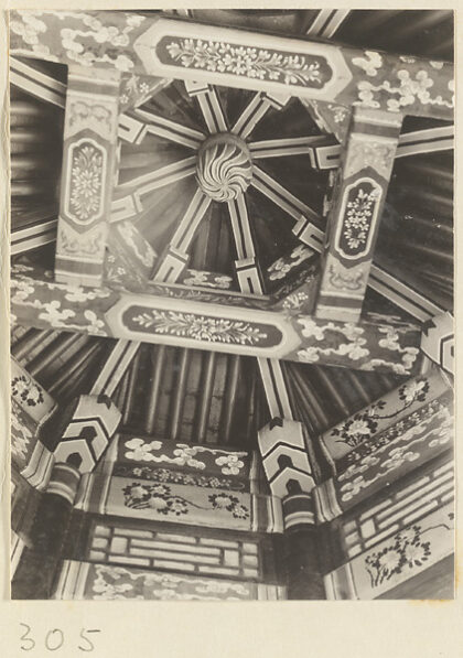 【jpg清晰版】颐和园建筑内部展示彩绘梁展示花卉和云彩图案.jpg