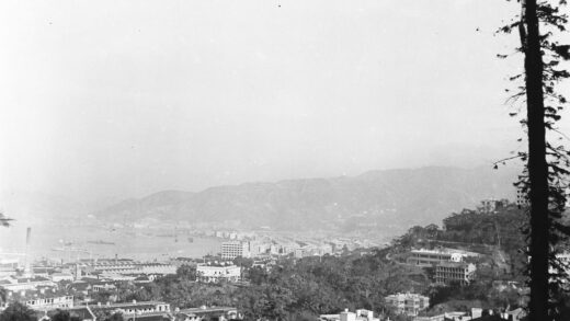 【jpg清晰版】香港植物园一景.jpg